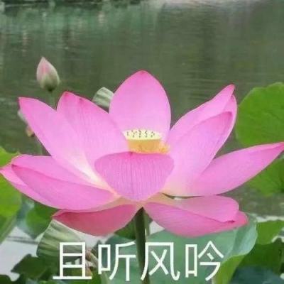 精英小队突围安卓手游(暂未上线)v1.0 安卓普通版