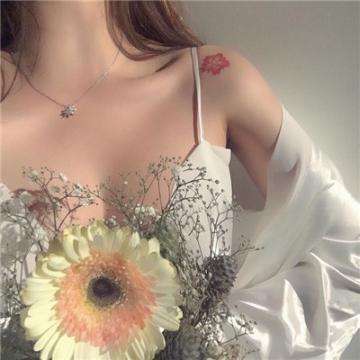 异次元大作战华为服下载
